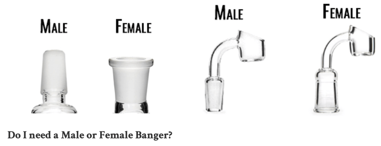 FIND OUT WHICH GENDER BANGER YOU NEED TO FIT YOUR DAB RIG