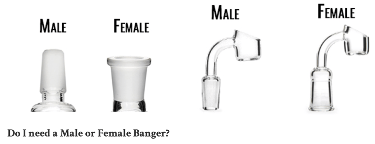 FIND OUT WHICH GENDER BANGER YOU NEED TO FIT YOUR DAB RIG